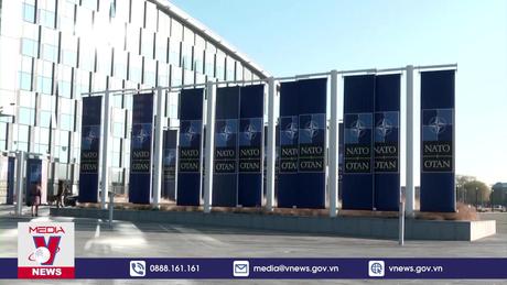 Nhật Bản - NATO đàm phán thiết lập đường dây nóng an ninh