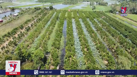 Bản tin thời sự 17h ngày 21/01/2024