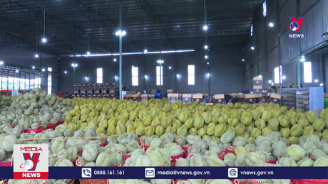 Bản tin thời sự 13h ngày 21/01/2024