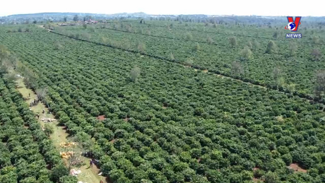 Bản tin tiếng Anh ngày 22/1/2024