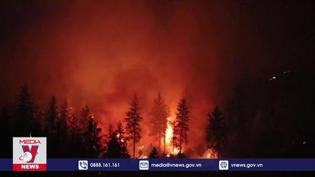 Nắng nóng cực đoan gia tăng nguy cơ cháy rừng ở Australia