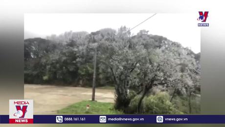 Xuất hiện băng giá trên đỉnh núi Phia Oắc, Cao Bằng