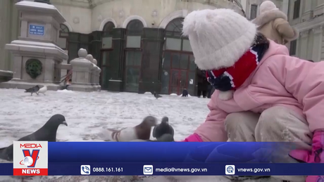 Năm Rồng khó có thể giúp Trung Quốc tăng tỉ lệ sinh