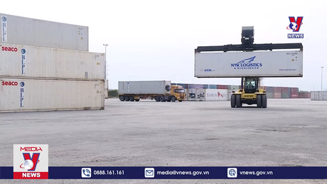 Chỉ đạo 'nóng' khi cước vận tải biển tăng cao