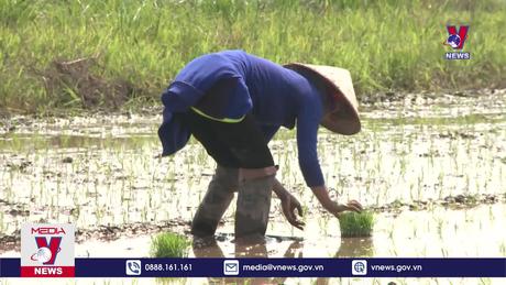 Xả nước đợt 1 phục vụ đổ ải Đông Xuân