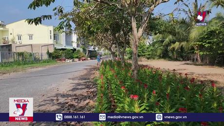 Nhà vườn Vĩnh Long tất bật chăm sóc hoa vụ Tết