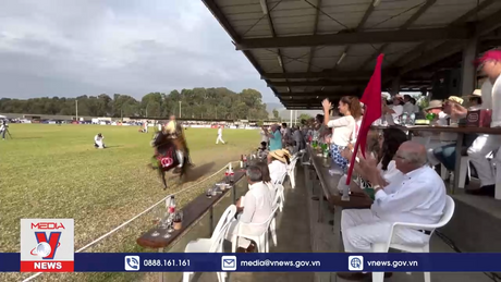 Sôi động cuộc đua ngựa Paso