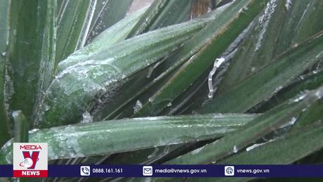  Xuất hiện băng giá trên đỉnh Mẫu Sơn, tỉnh Lạng Sơn