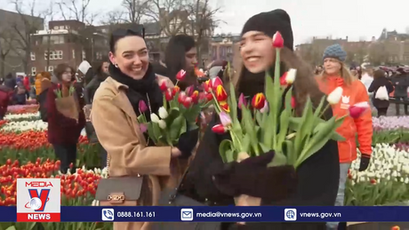 Rực rỡ Ngày hoa Tulip tại Hà Lan
