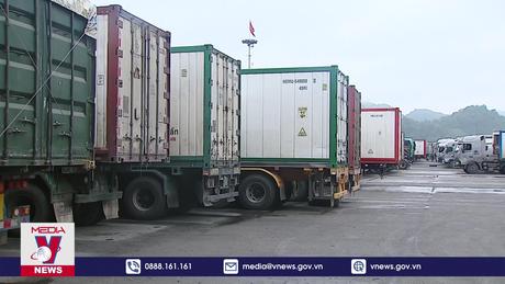 Xuất khẩu rau quả tăng đột biến tháng đầu năm 2024