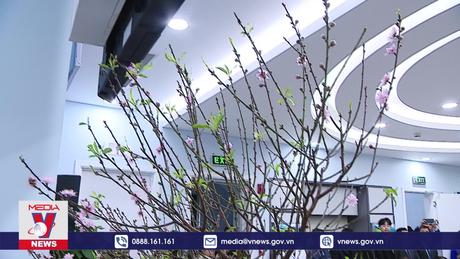 Bữa cơm Tất niên sớm cho bệnh nhân ung thư