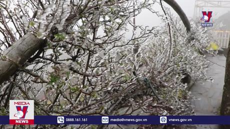 Băng giá xuất hiện trên đỉnh Ô Quý Hồ 