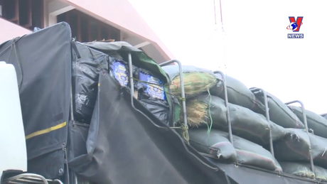 Đường dây nóng 389 ngày 24/1/2024