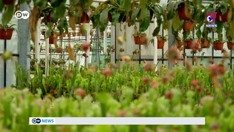 Tạp chí toàn cầu số 860 ngày 25/01/2024