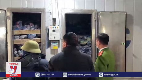 Thu gom 40 tấn thịt lợn nhiễm dịch giá rẻ trục lợi