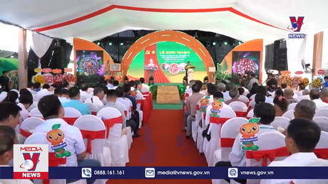 Bản tin thời sự 20h ngày 25/01/2024