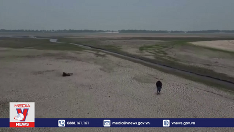 Rừng Amazon ghi nhận hạn hán kỷ lục