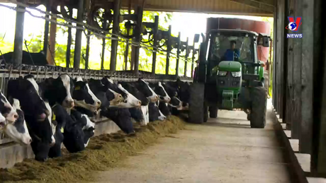 Bản tin tiếng Trung ngày 25/01/2024