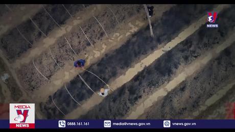 Bản tin thời sự 11h ngày 26/01/2024