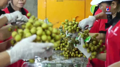 Bản tin tiếng Trung ngày 26/01/2024