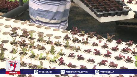 Xuất khẩu rau quả còn nhiều dư địa