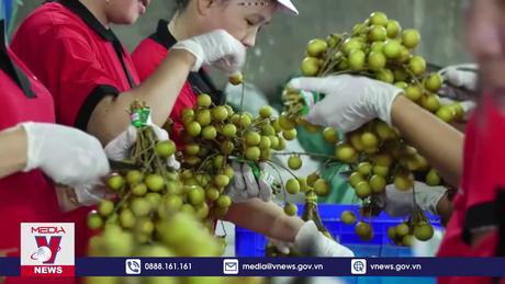 Trái cây xuất khẩu sang Trung Quốc tăng 30%
