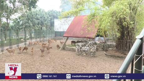 Giữ ấm cho thú dưới thời tiết khắc nghiệt