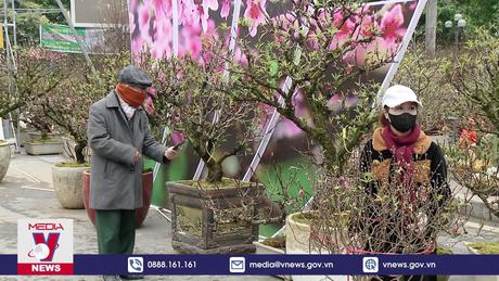 Thời tiết Tết Giáp Thìn