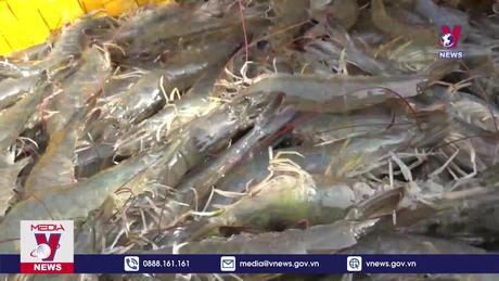 Bản tin thời sự 21h ngày 27/01/2024