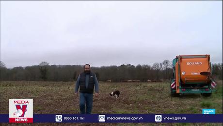 Giọt nước tràn ly với nông dân Pháp