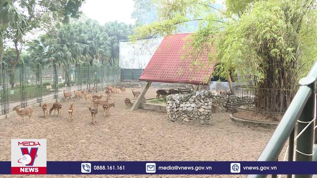 Giữ ấm cho thú dưới thời tiết khắc nghiệt