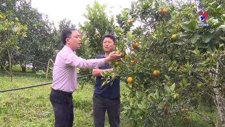 Tín dụng cho người nghèo ngày 27/01/2024