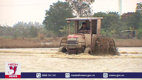 Điều chỉnh thời gian lấy nước đợt 1