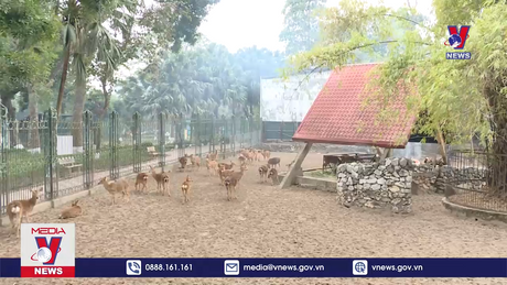 Bản tin thời sự 13h ngày 28/01/2024