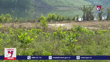 Phản hồi thông tin dự án hoàn thành nhưng chưa bồi thường GPMB