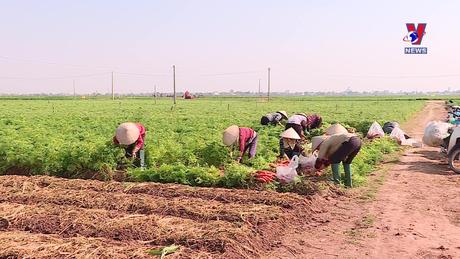 Bản tin tiếng Tây Ban Nha ngày 28/01/2024