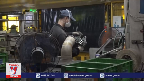 Nhật Bản mở rộng ngành nghề lao động kỹ năng