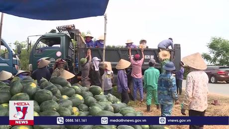 38 tỉnh được cấp mã số để xuất khẩu dưa hấu sang Trung Quốc