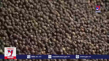 Cảnh báo doanh nghiệp Việt mắc bẫy lừa đảo 