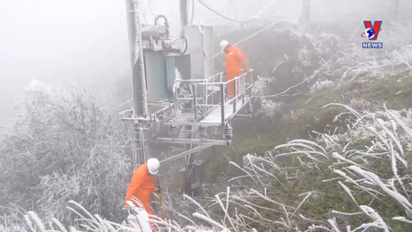 Nhật trình kinh tế ngày 29/01/2024