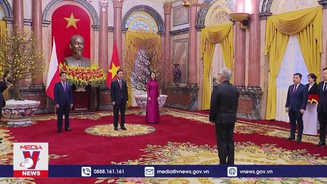 Chủ tịch nước tiếp Đại sứ các nước