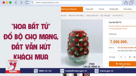 “Hoa bất tử” đổ bộ chợ mạng, đắt vẫn hút khách mua