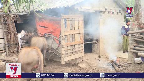 Quảng Ninh phòng chống rét cho cây trồng, vật nuôi 