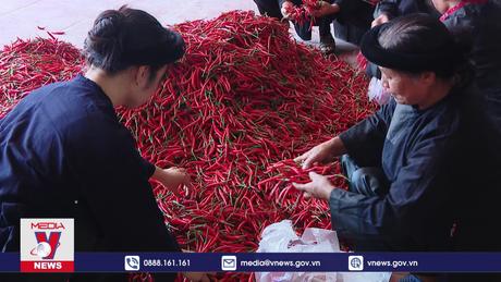 Nhiều cơ chế đặc thù đẩy nhanh chương trình MTQG