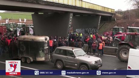 Pháp kêu gọi EU tháo gỡ khủng hoảng nông nghiệp