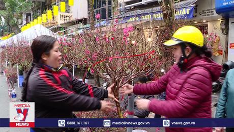 Rực rỡ sắc màu tại chợ hoa Hàng Lược