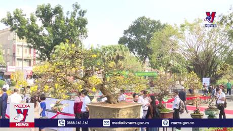 Xây dựng Huế trở thành xứ sở Hoàng mai Việt Nam