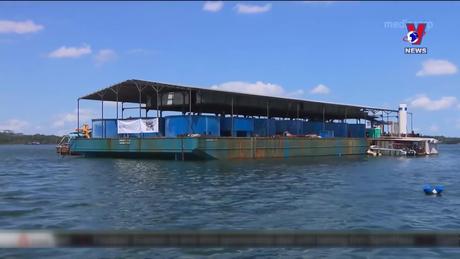 Tương Lai Xanh ngày 01/2/2024