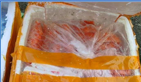 Thu giữ 01 tấn nội tạng động vật bẩn, không rõ nguồn gốc xuất xứ