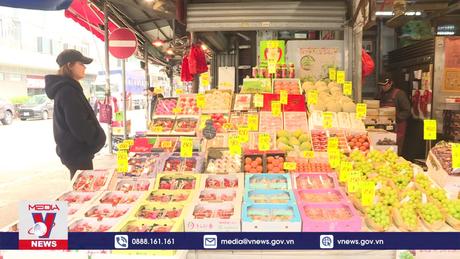Nhộn nhịp chợ đầu mối hoa và quả tươi ngày giáp Tết ở Hong Kong